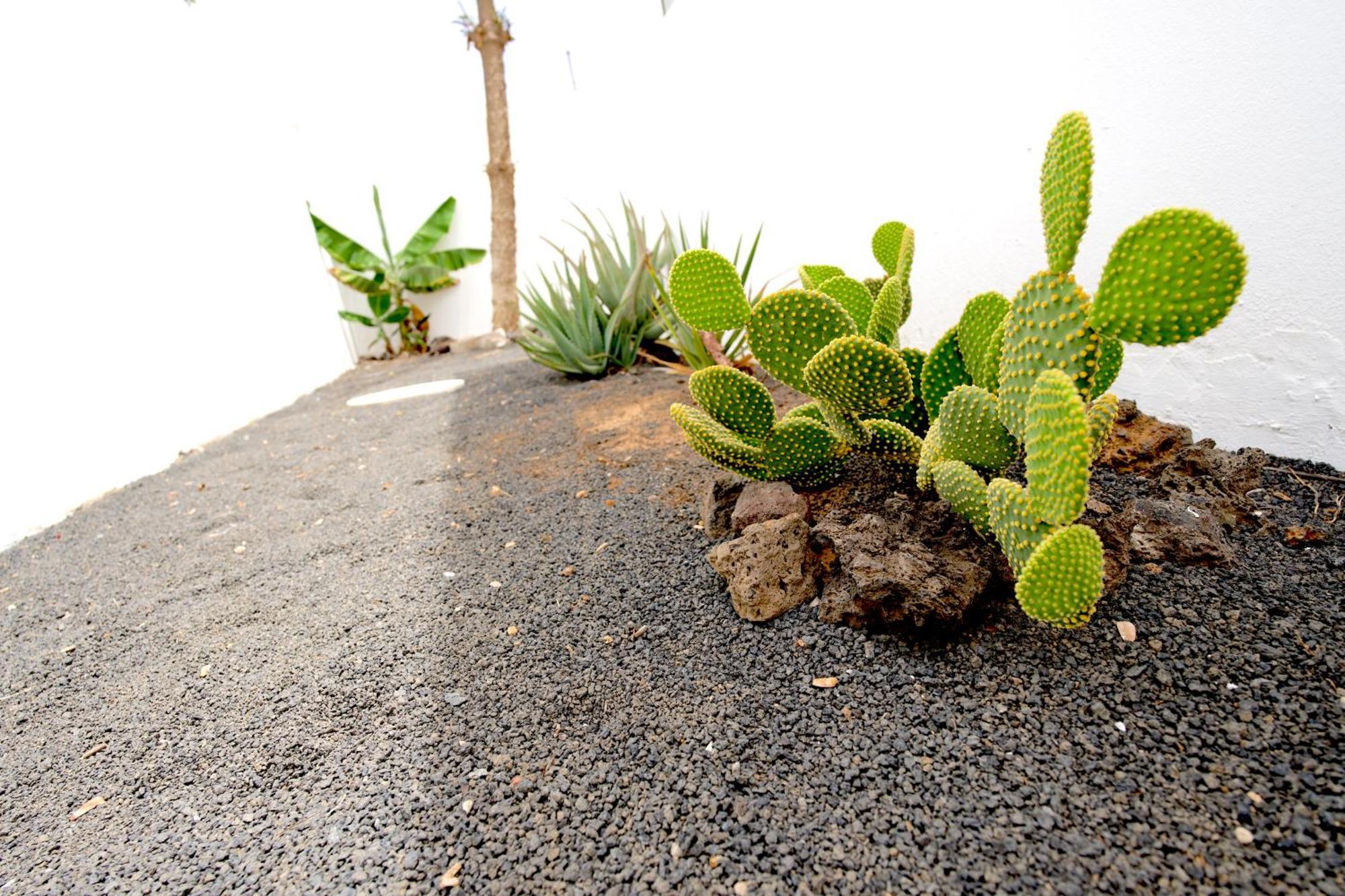 Villas Kalendra, Rofe, Lanzarote Guatiza Esterno foto